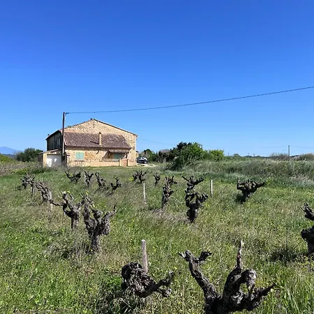Gite D'Ysee Au Milieu Des Vignes Pont-Saint-Esprit Exterior photo
