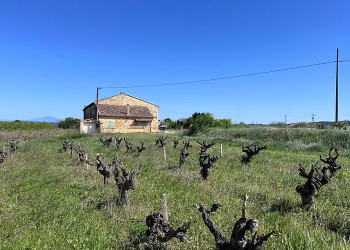 Gite D\'Ysee Au Milieu Des Vignes