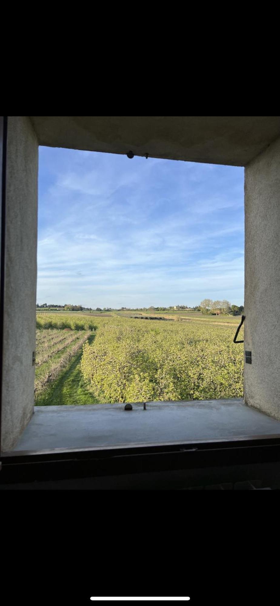 Holiday home D'ysee Au Milieu Des Vignes