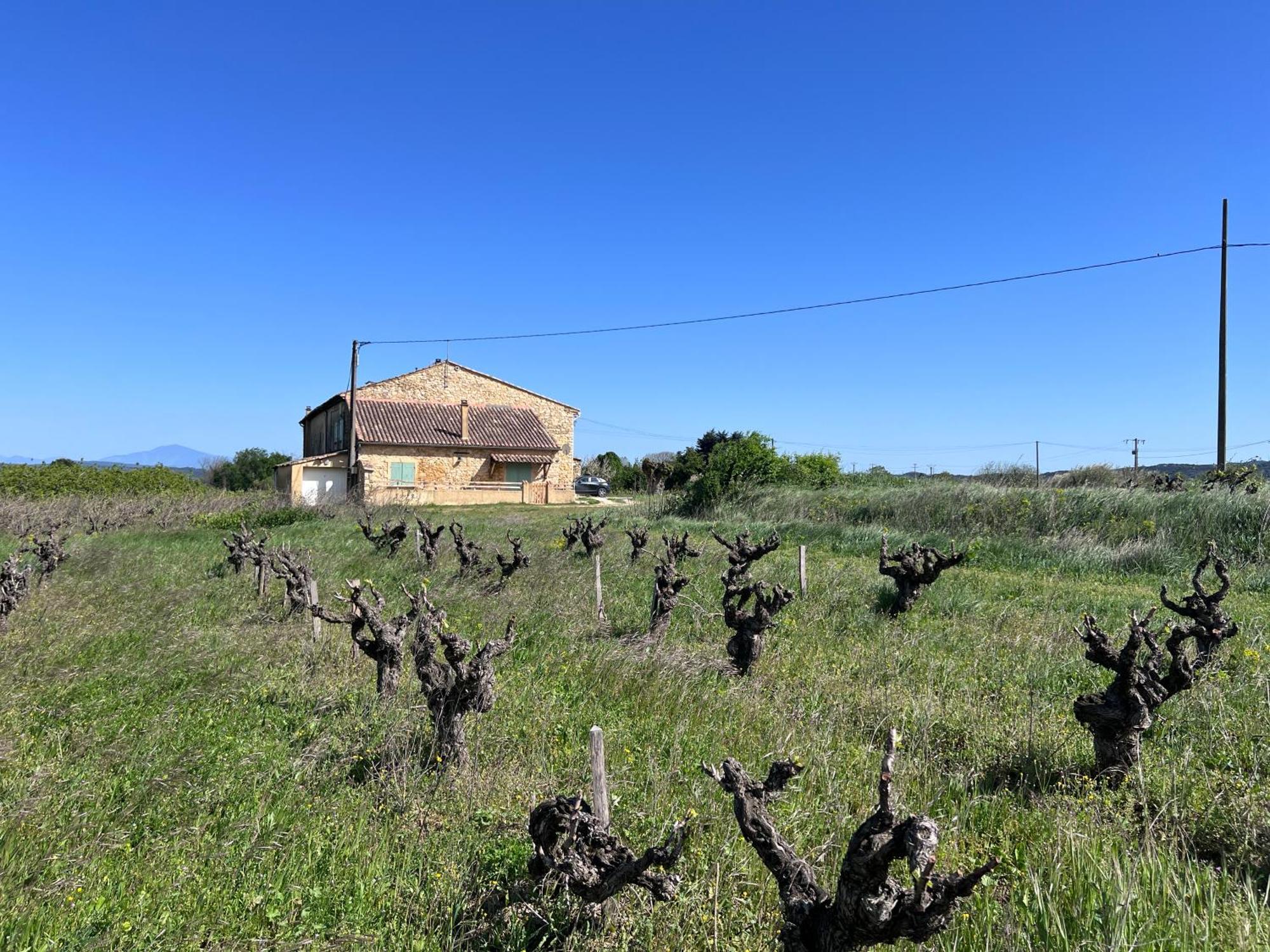 D'ysee Au Milieu Des Vignes Pont-Saint-Esprit